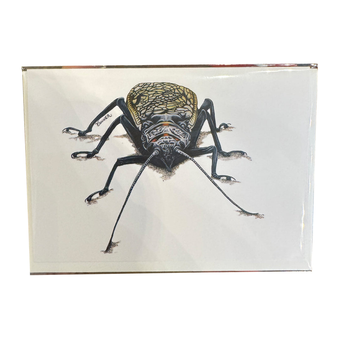 Conner Art Studio Stoney Card 4x6