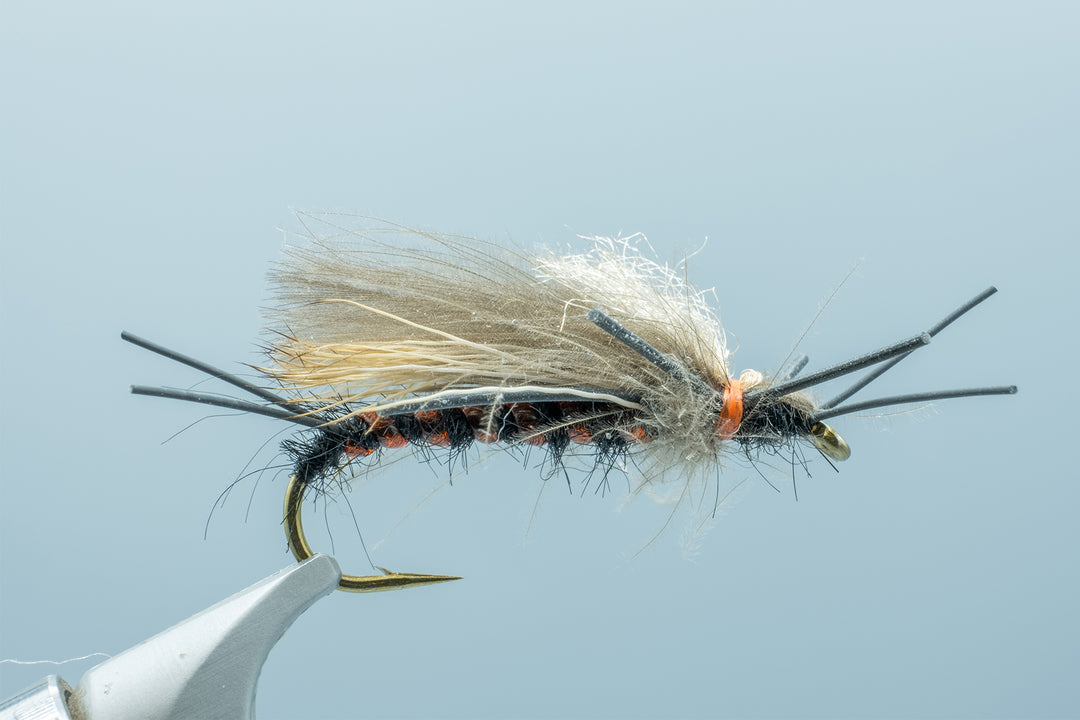 Libby's Salmonfly #4