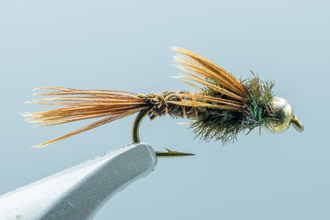 BH Pheasant Tail F/B - 1 Doz.