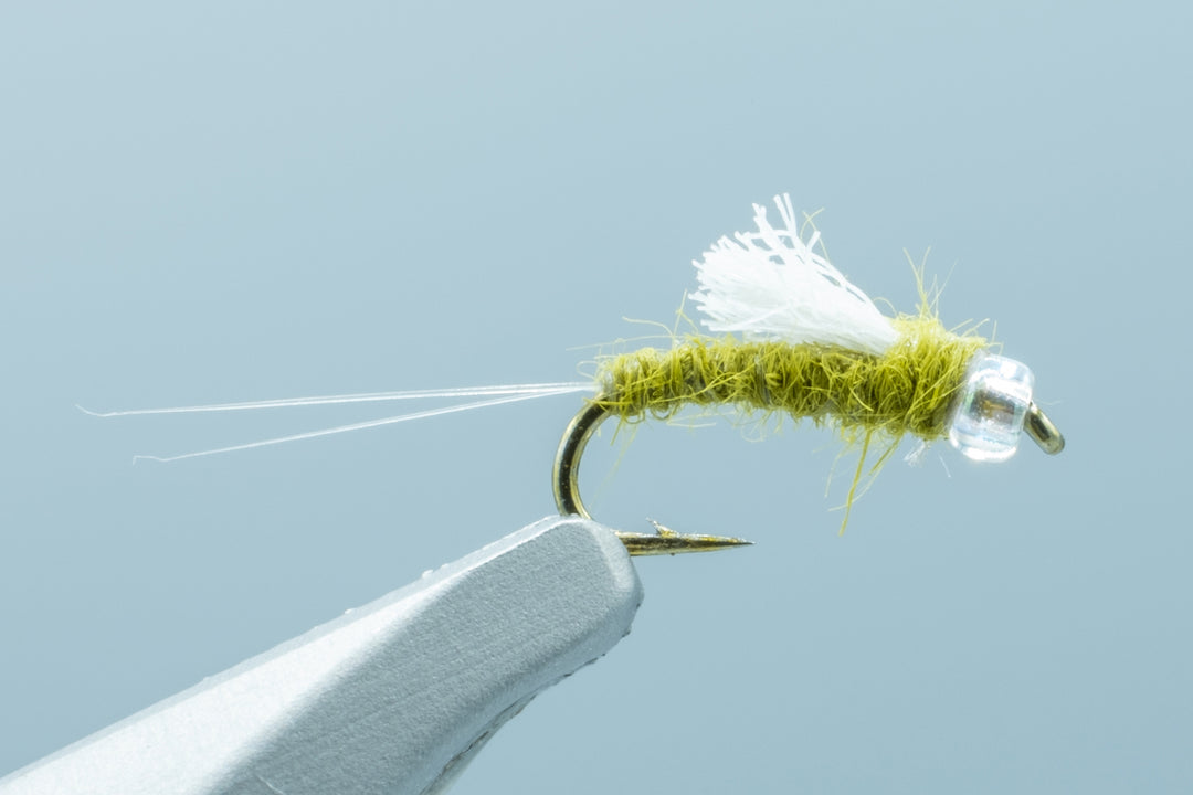 BH RS2 Olive - 1 Doz. #18