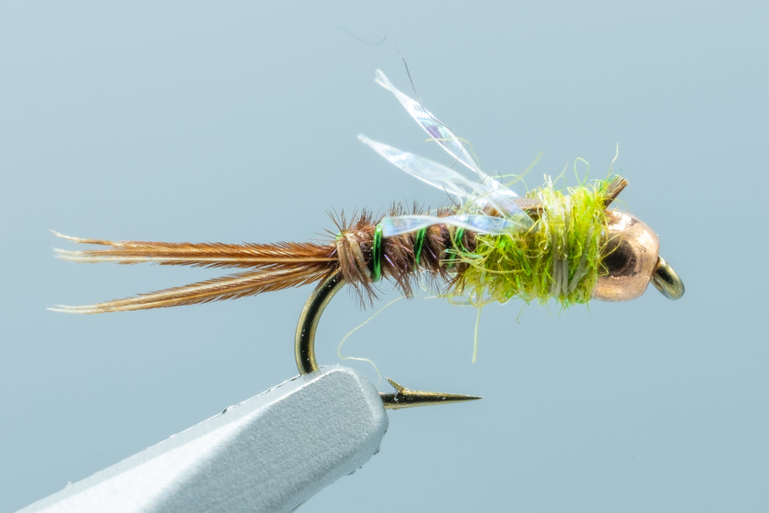 Hogan Olive - 1 Doz.