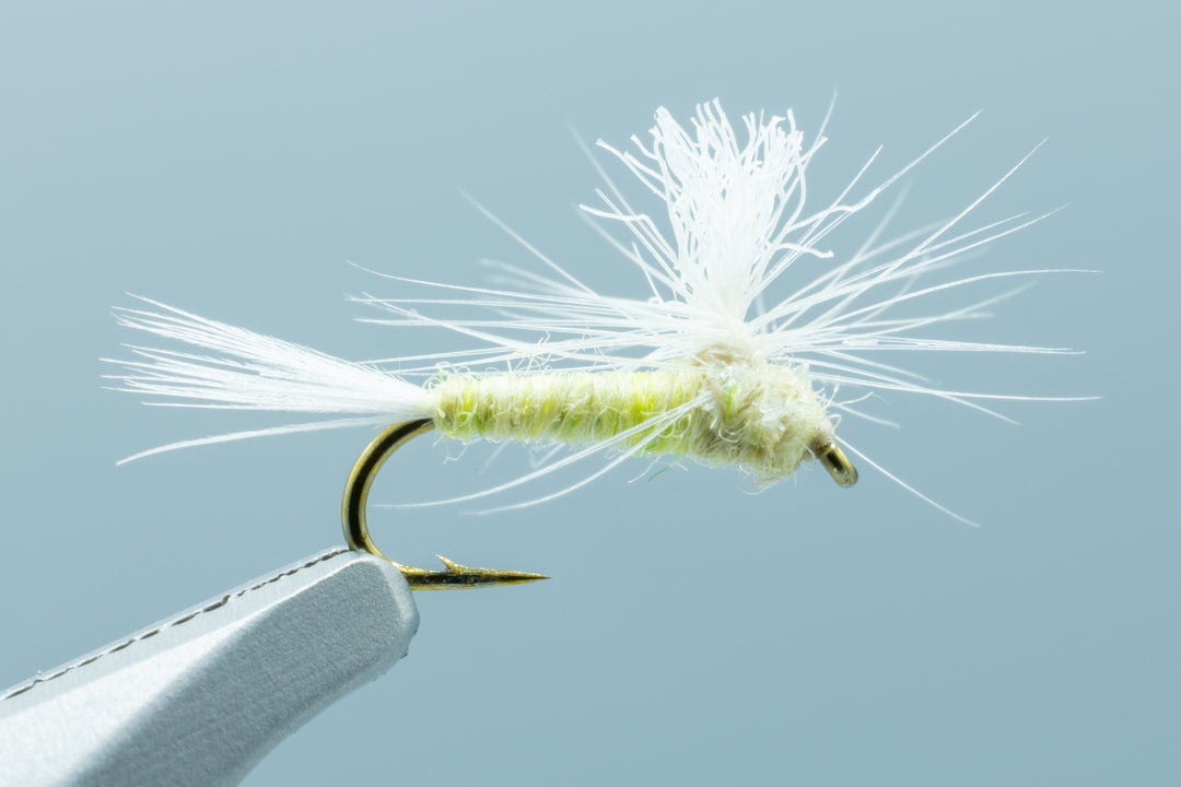 Parachute PMD - 1 Doz. - Madison River Fishing Company