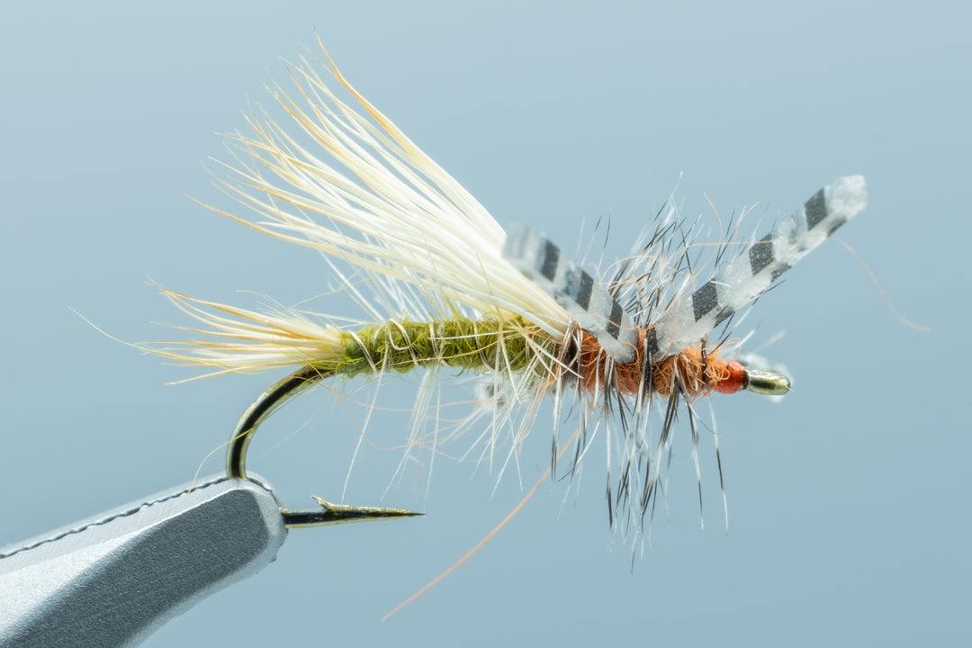 Stimulator Olive/Orange Black & Gray Micro Rubber Legs - 1 Doz. #16