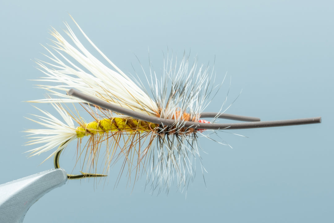 Stimulator Yellow/Orange Brown Rubber Leg - 1 Doz. #10