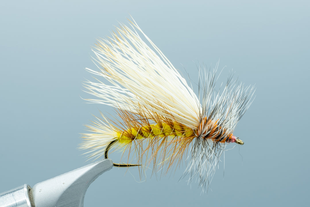 Stimulator Yellow/Orange - 1 Doz.