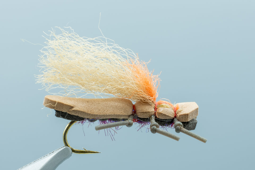 Burkus B/B Rider Purple #8