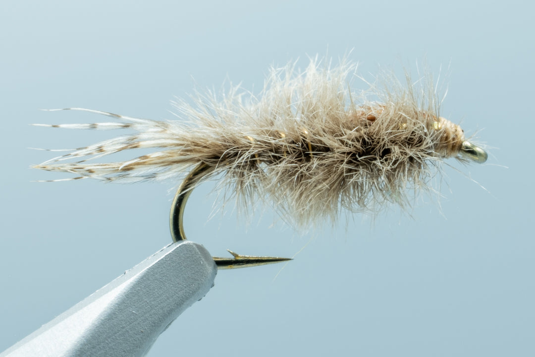 E-Town Lake Callibaetis #12