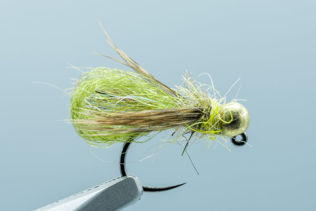 Jiggy Caddis Pupa Olive #16