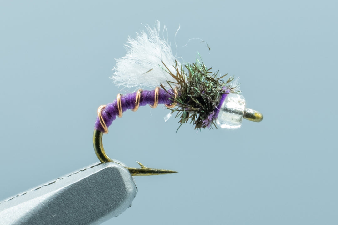 Manhattan Midge Purple #18
