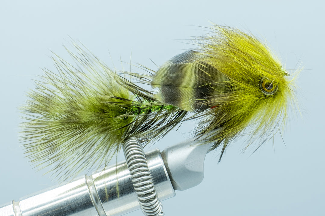 Mike's Pec's Olive #6