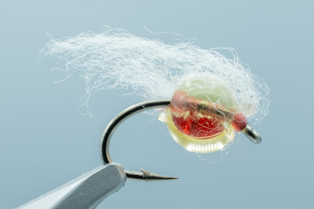 Otter's Embryo Egg Dead Egg #12