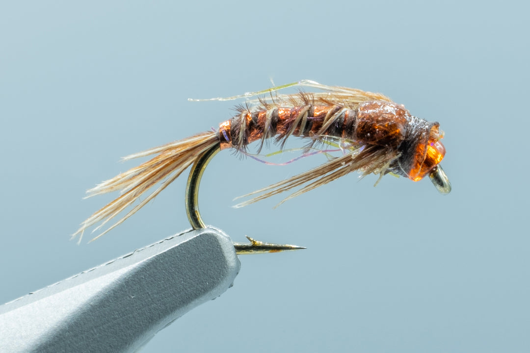 Phlamin Pheasant Orange #16