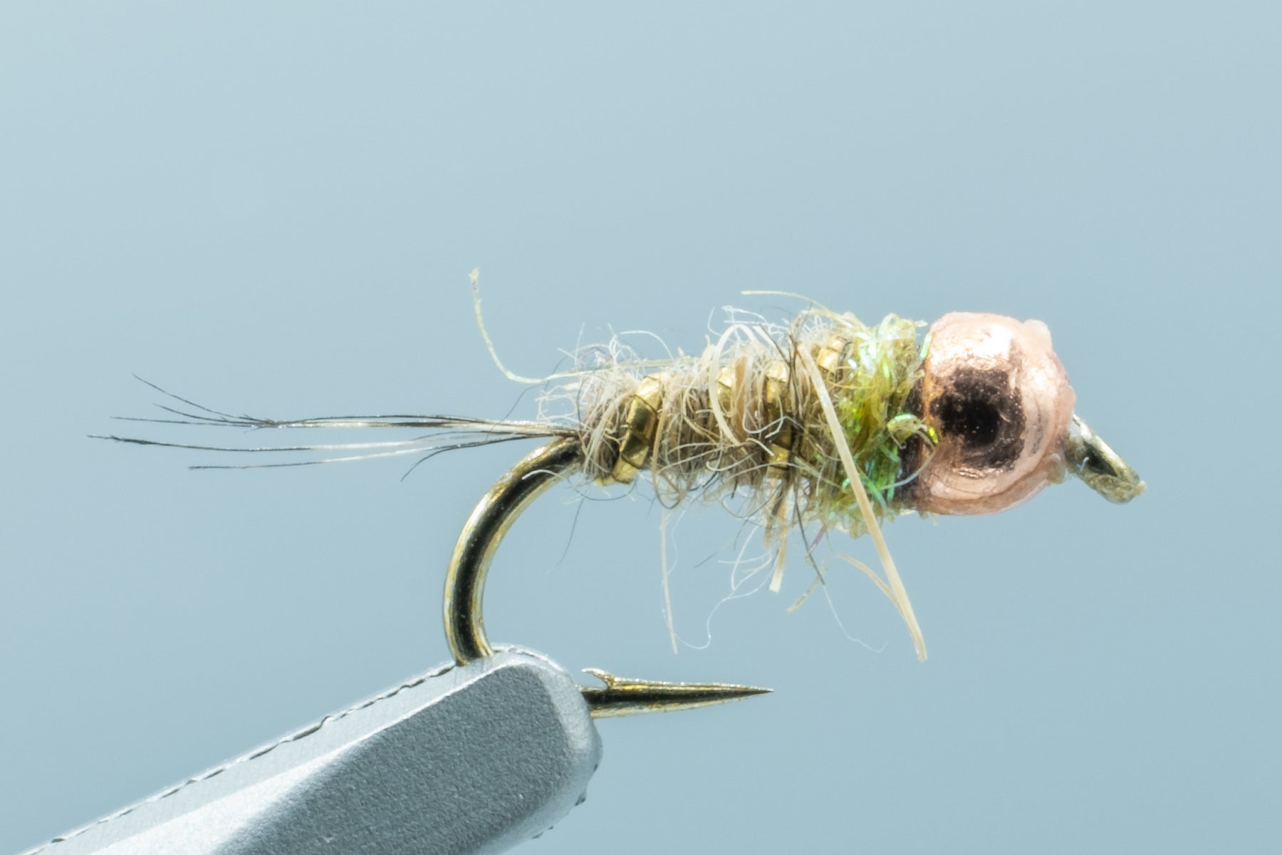 New Nymphs On Sale – Madison River Fishing Company