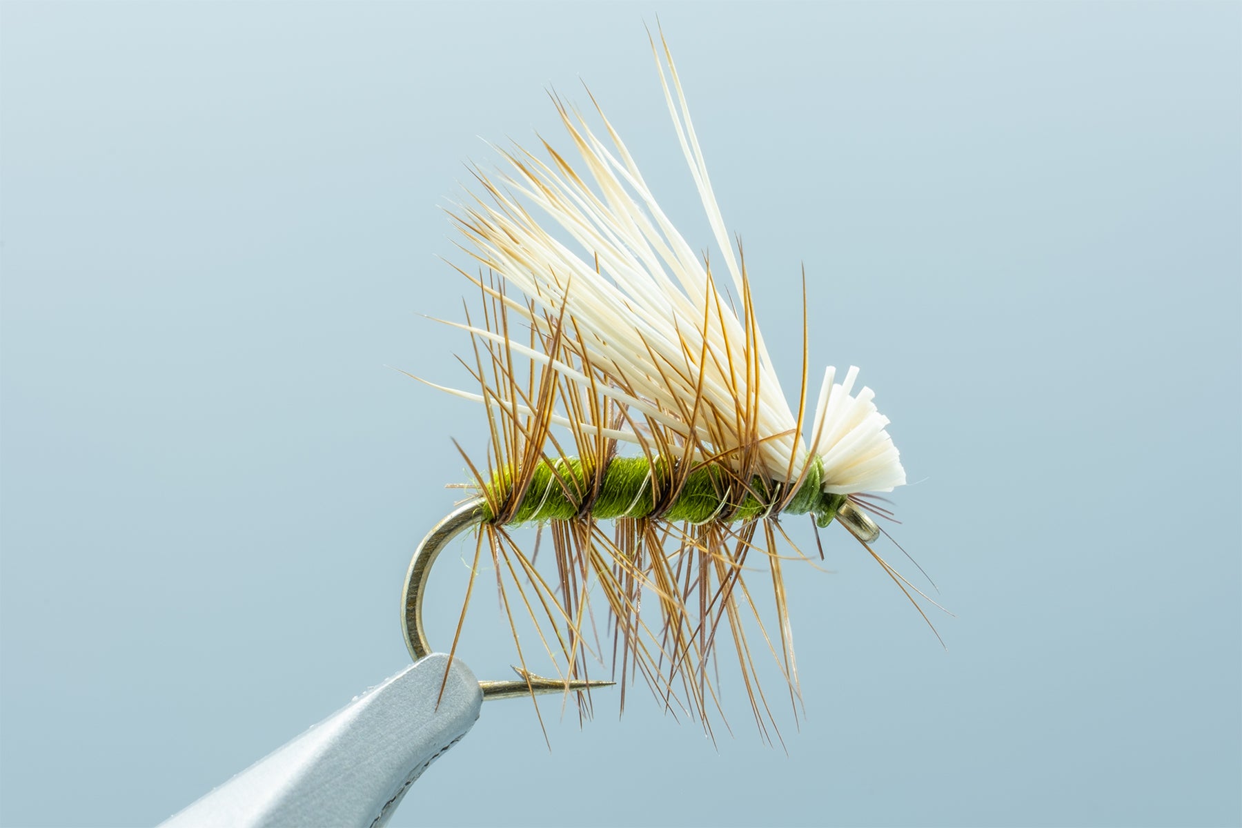 Come Fanno Le Mosche Ad Atterrare A Testa In Giù? | Italia - Foto 5