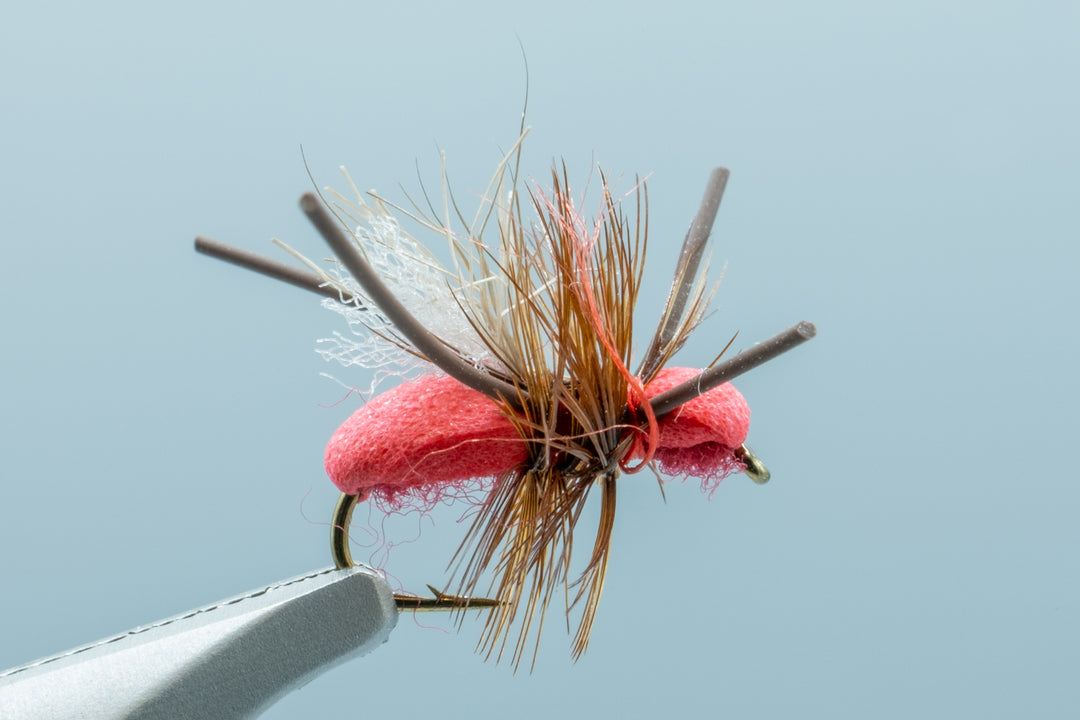 Ant CFO Red #14 – Madison River Fishing Company