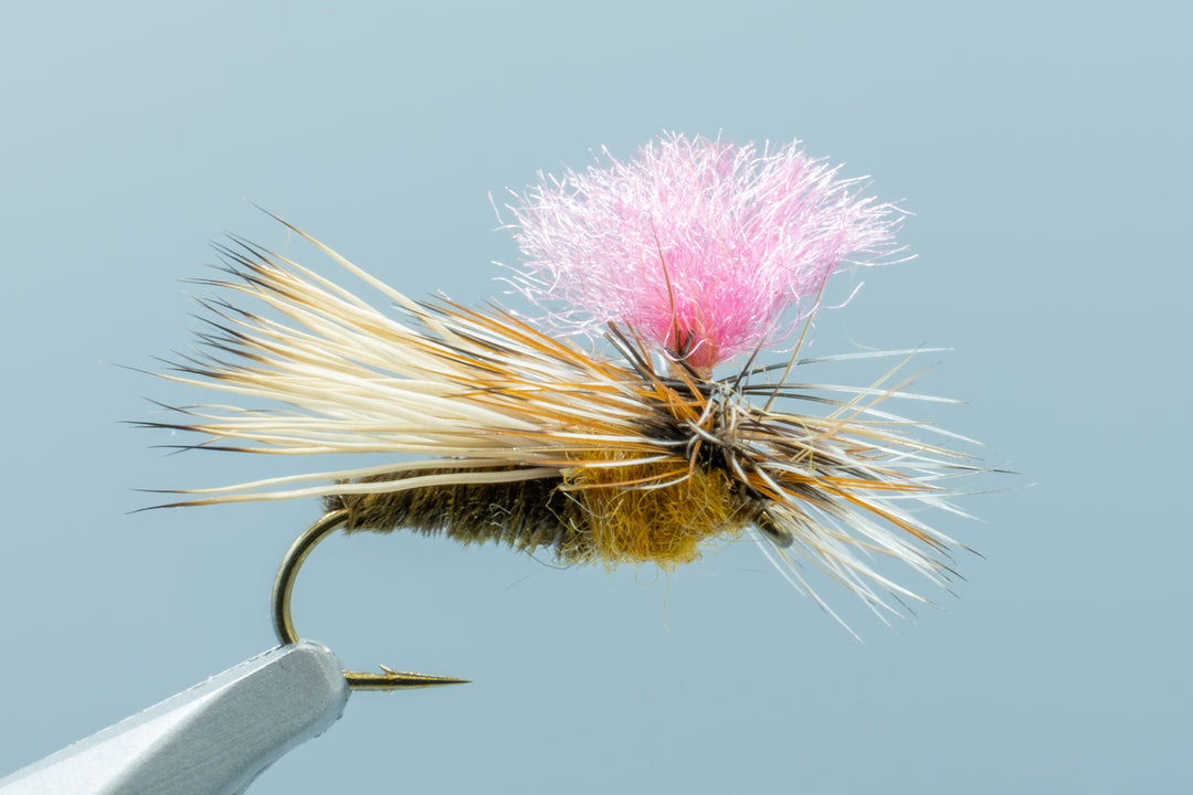 Bloom's Parachute Caddis Brown #14