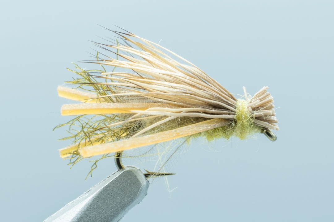 CDC Elk Hair Caddis Olive #16