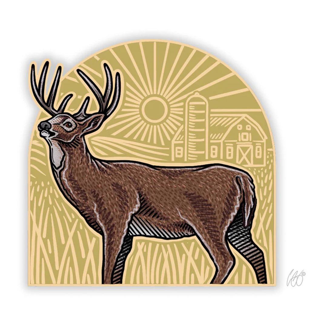 Casey Underwood Whitetail Arch