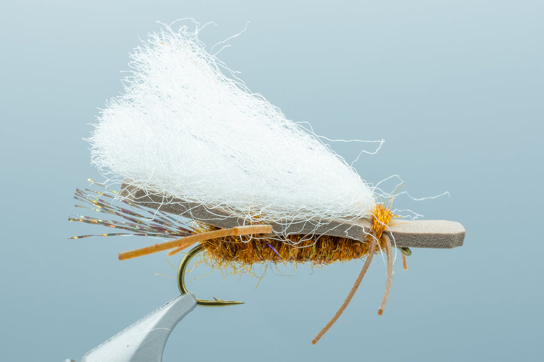 Chubby Chernobyl Salmonfly #6 - Madison River Fishing Company