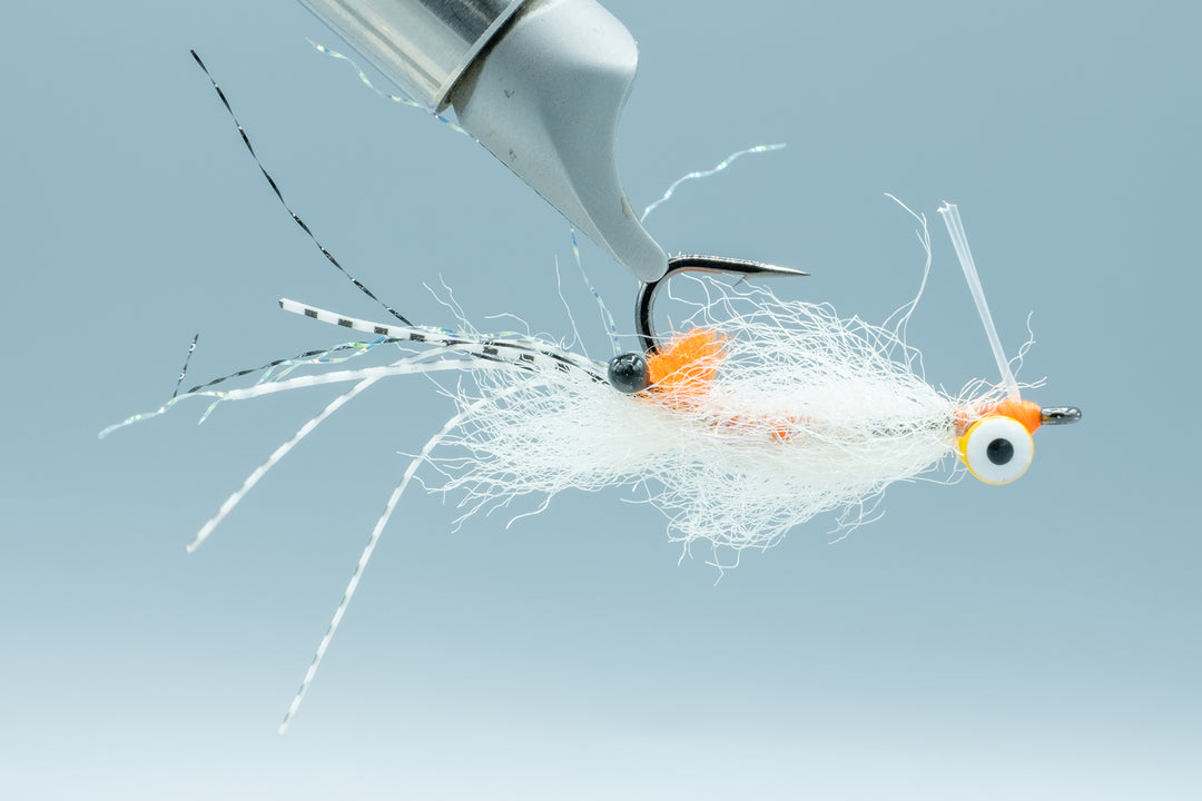 Spawning Shrimp Transparent Yellow Eyes #4