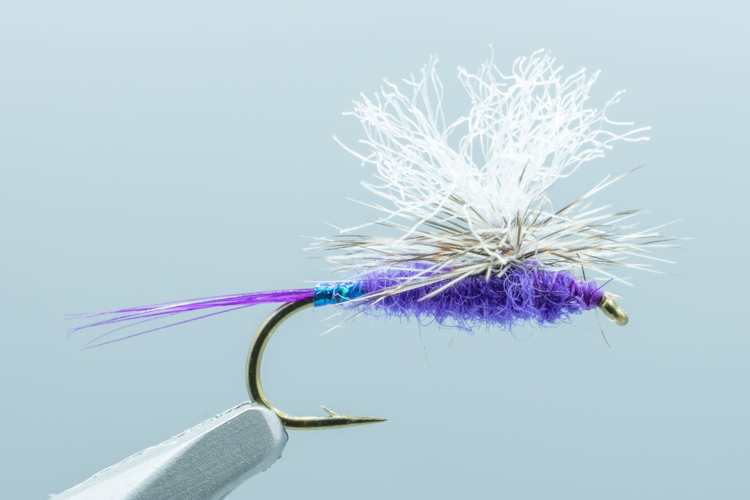 Mini Hot Mayfly Garcia Purple #14 - Madison River Fishing Company