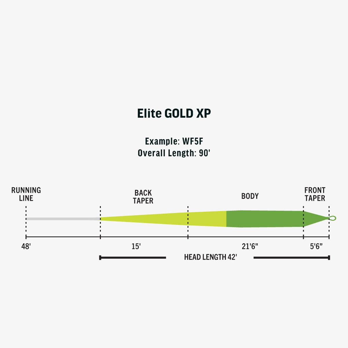 RIO Elite Gold XP Fly Line – Madison River Fishing Company