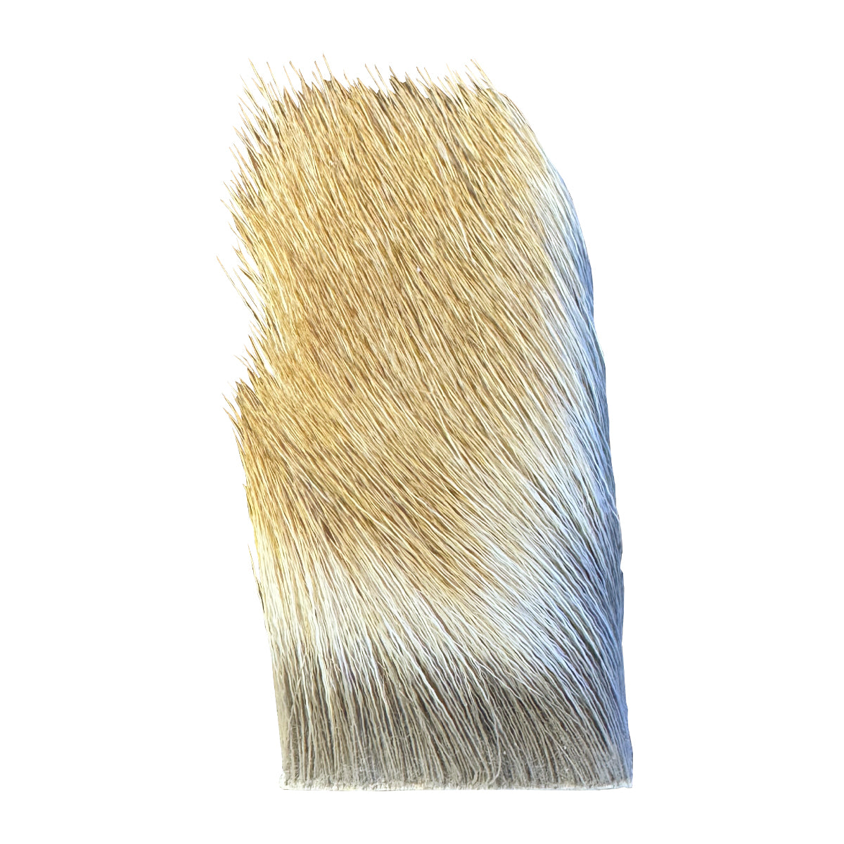 Nature's Spirit – Madison River Fishing Company