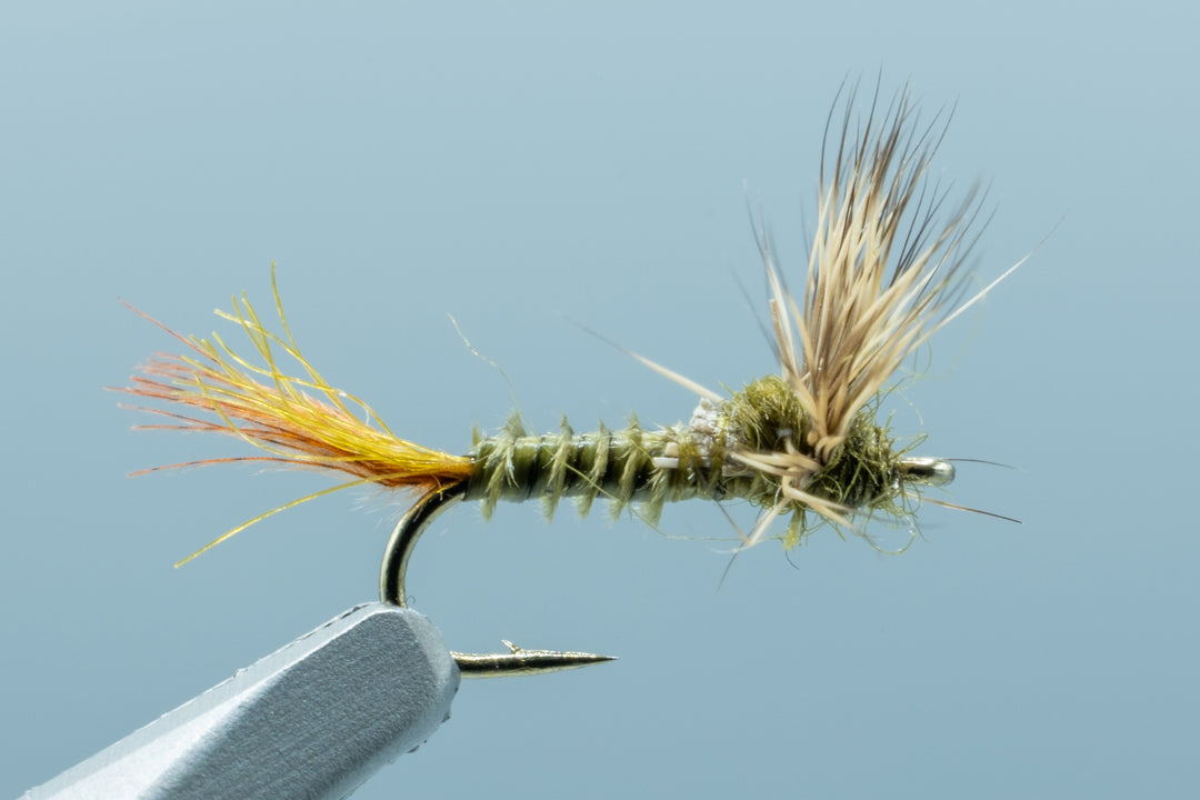 Biot Sparkle Dun Baetis Olive #18
