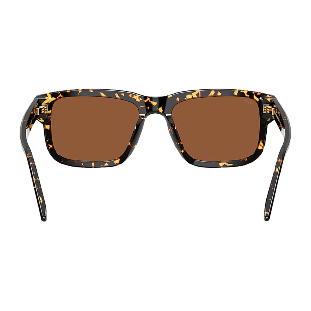 Costa Shipwrecks Tortoise Copper 580G