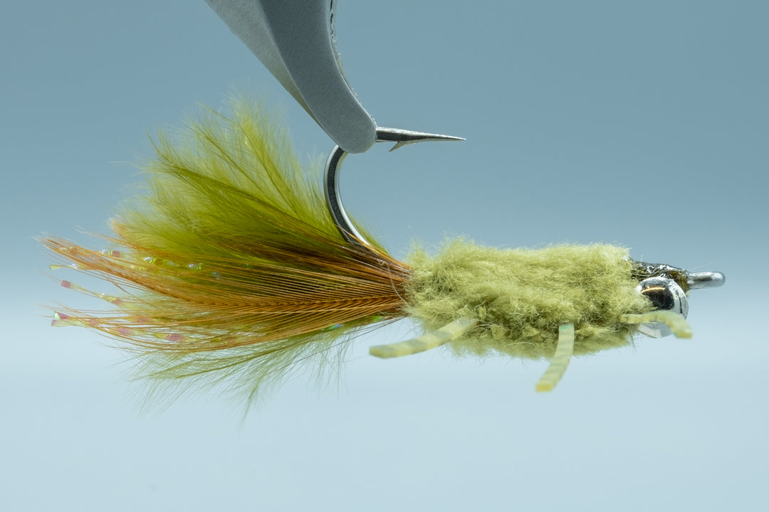 Rag Head Crab Olive