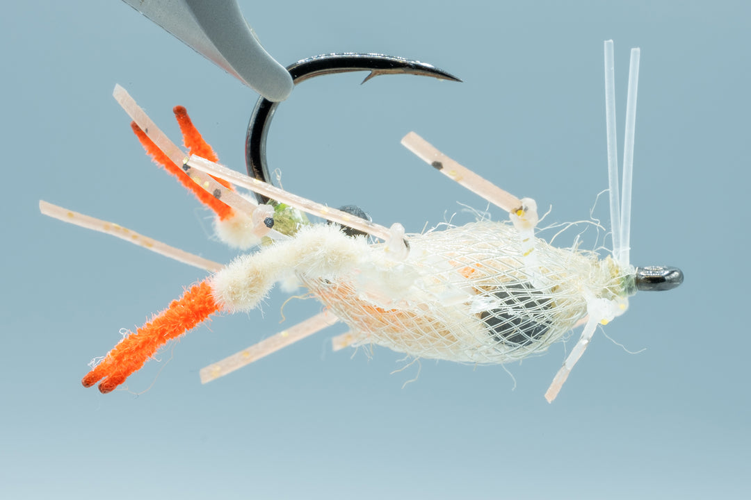 Descendent Crab Tan #2/0