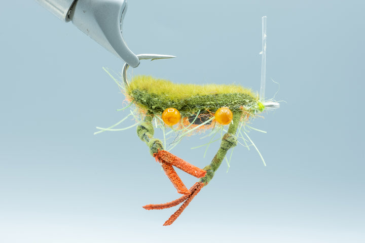 Fleeing Crab Olive #1