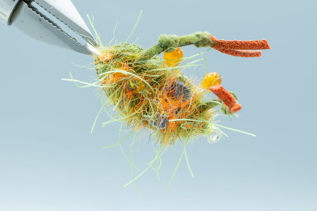 Fleeing Crab Olive #1