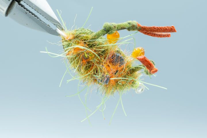 Fleeing Crab Olive #1