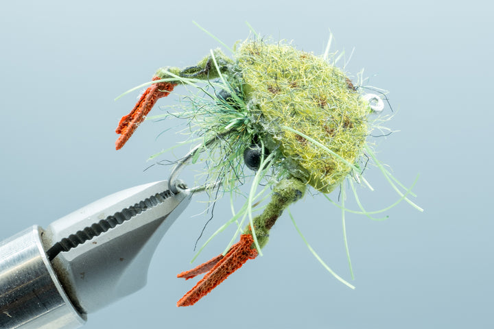 Floating Crab Olive #1