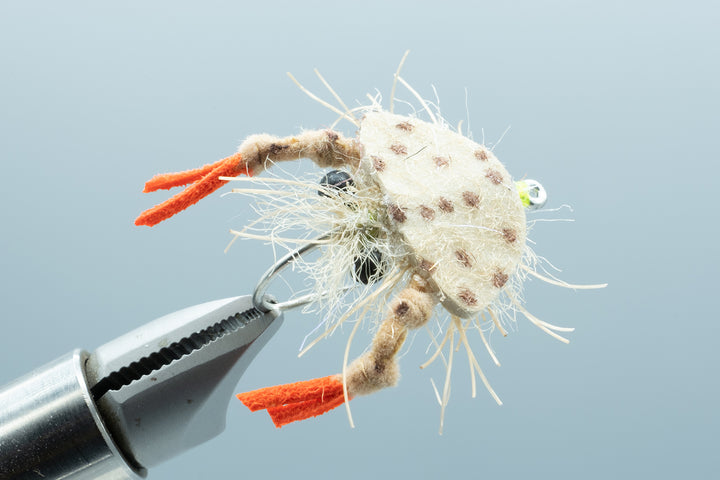 Floating Crab Tan #1