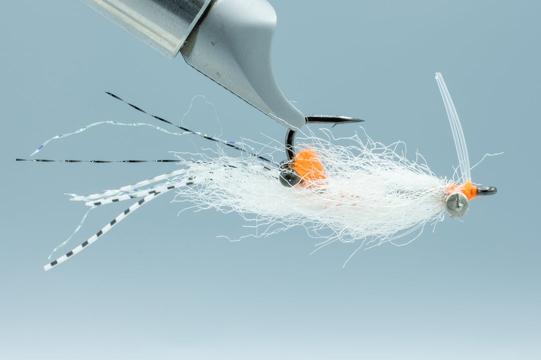 Spawning Shrimp Transparent #6