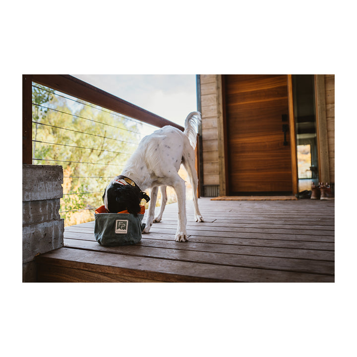 Fishpond Bow Wow Travel Food Bowl Duskwood
