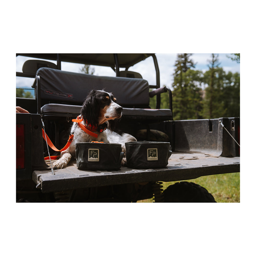 Fishpond Bow Wow Travel Food Bowl Duskwood