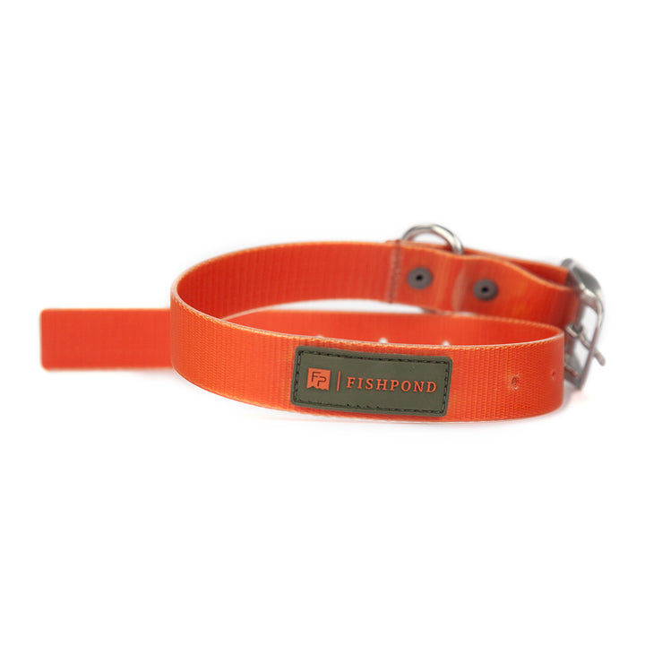 Fishpond Dog Collar Ember