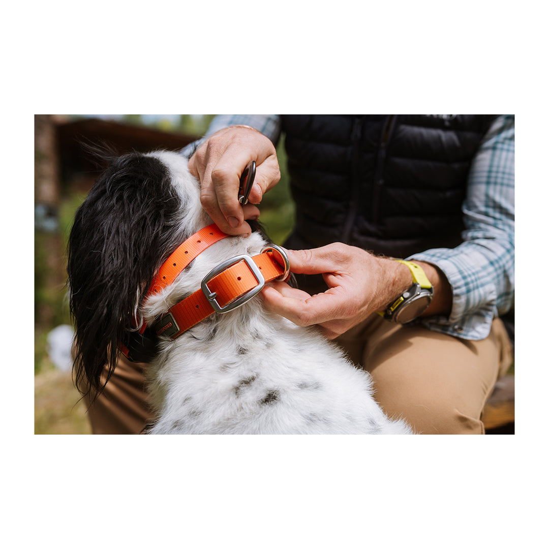 Fishpond Dog Collar Ember