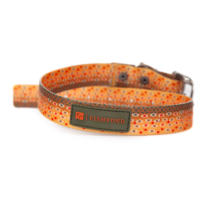 Fishpond Dog Collar Trucha