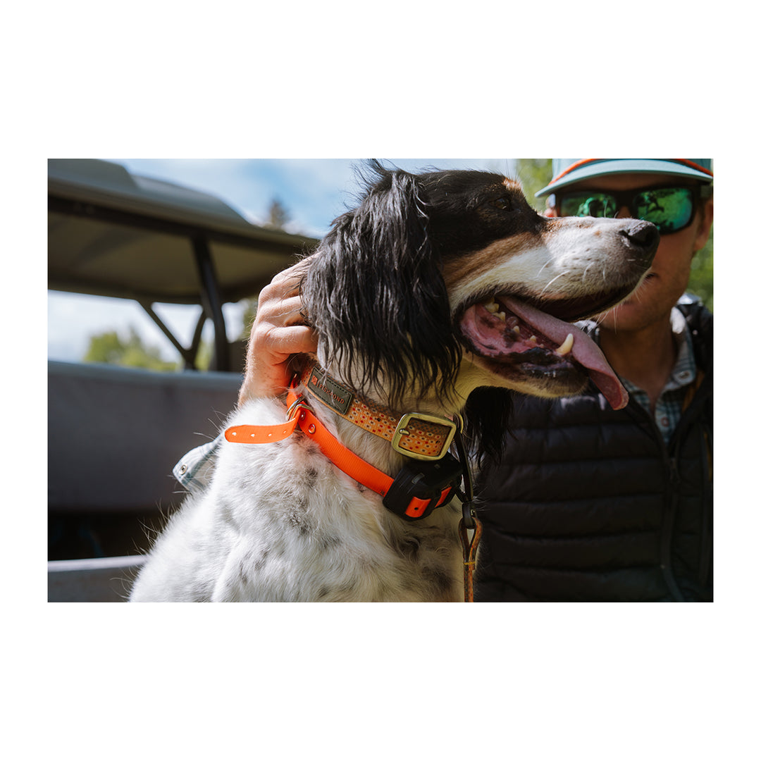 Fishpond Dog Collar Trucha