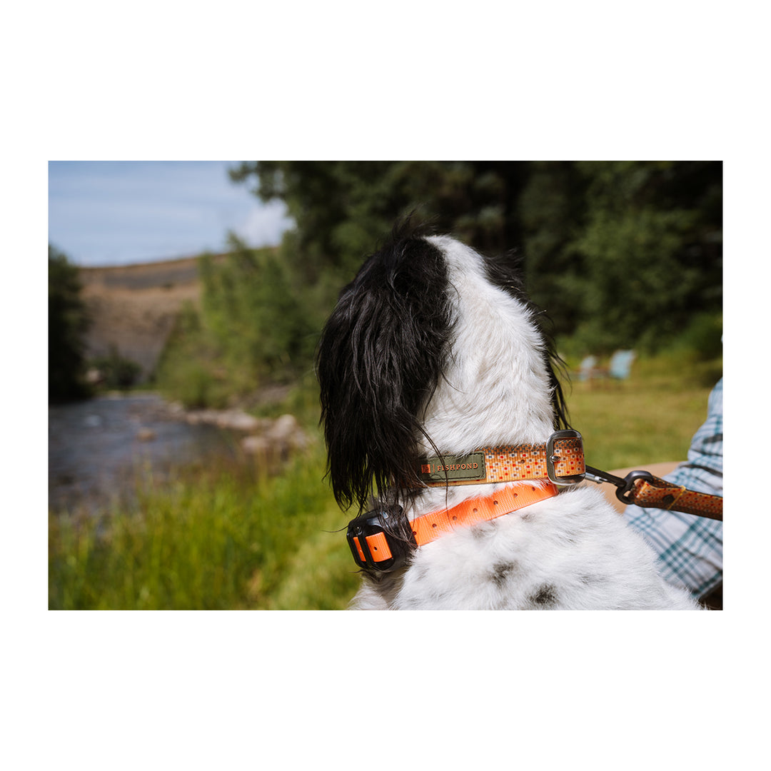 Fishpond Dog Collar Trucha