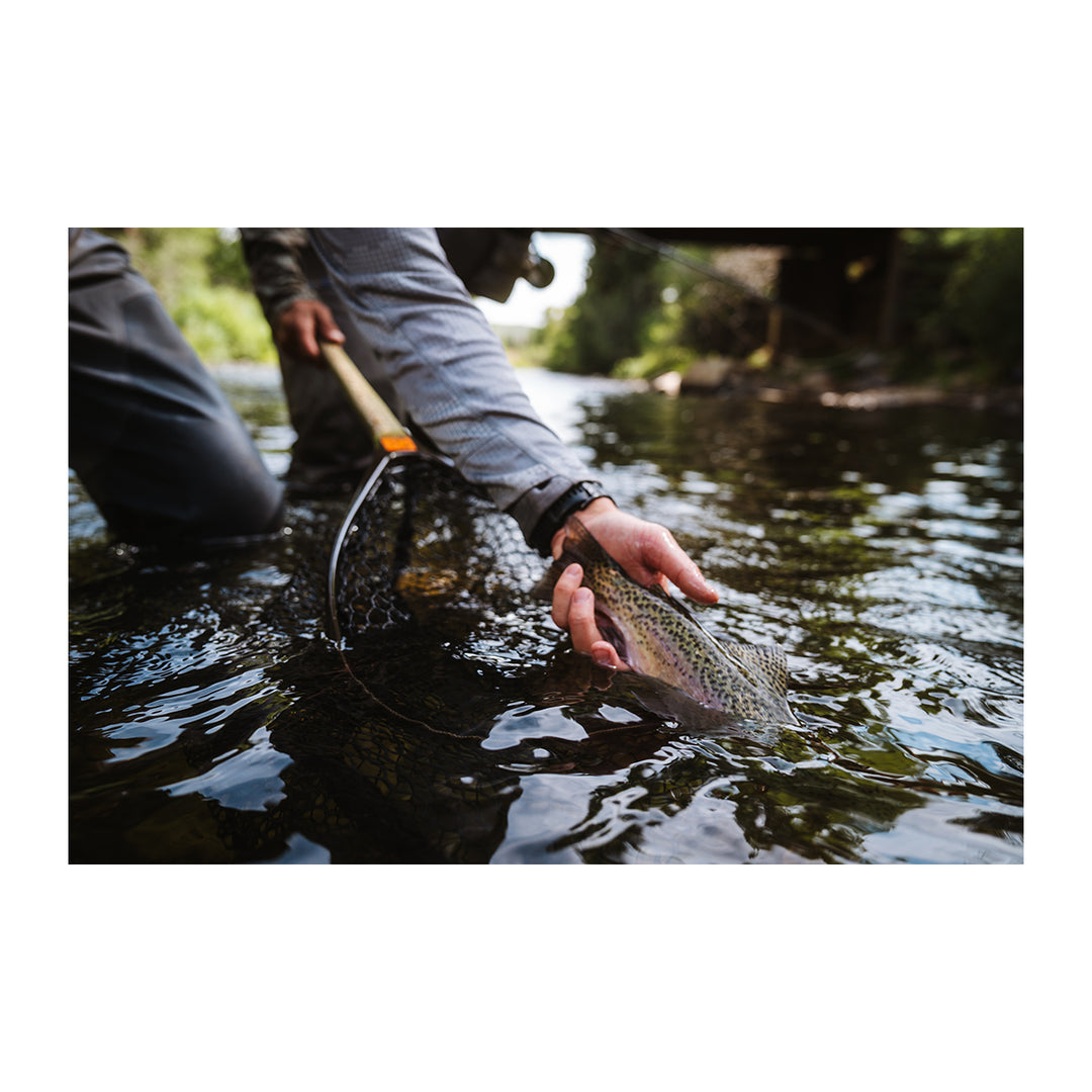 Fishpond Nomad Replacement Coated Nylon Net 15"