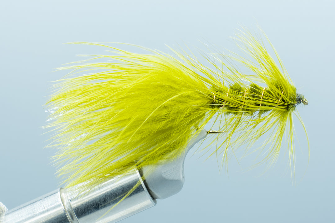 Woolly Bugger Olive - 1 Doz. #8 - 1 Doz.