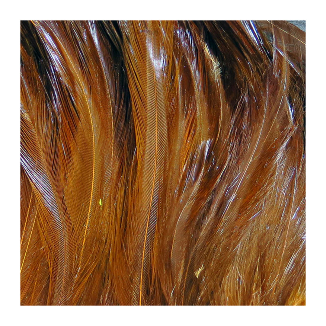 Hareline Saltwater Neck Hackle