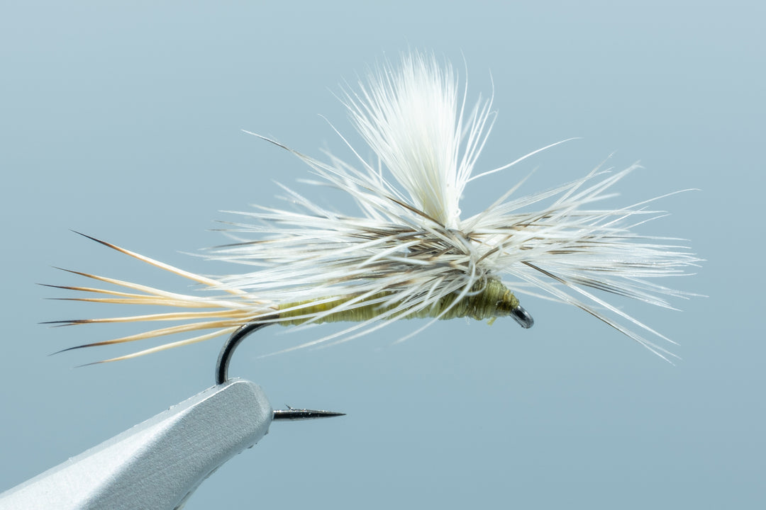 Carlson's Hazy Para-Wulff Olive #16