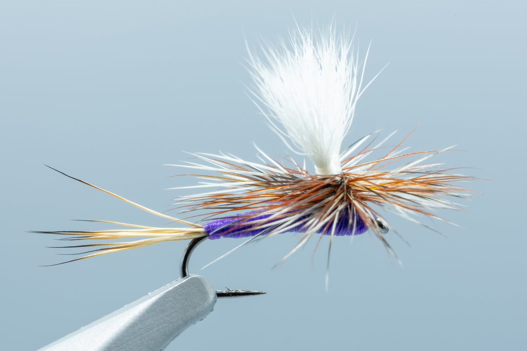 Carlson's Hazy Para-Wulff Purple #16