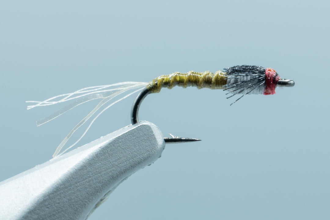 Hilbert's Day Saver May Baetis #18